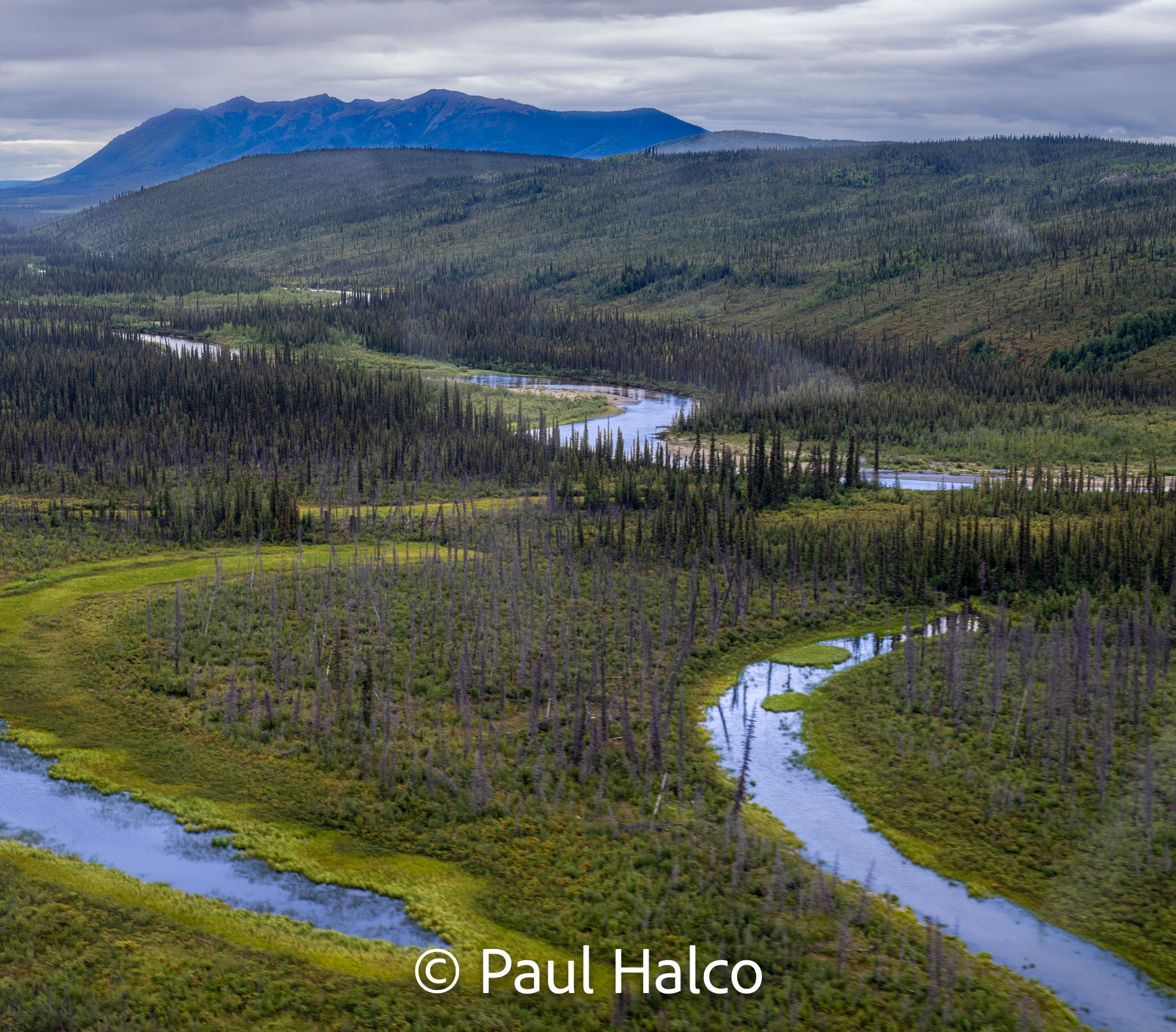Paul Halco - Gates of the Arctic NP-43